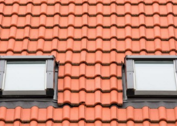 Two Roof Windows